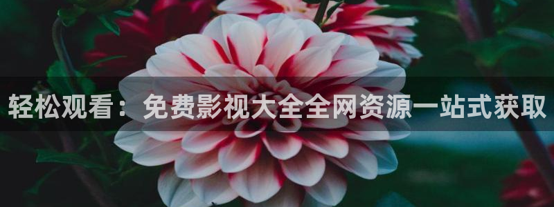 97超碰人人插：轻松观看：免费影视大全全网资源一站式获取