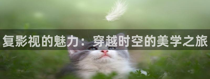 人人视频电视端：复影视的魅力：穿越时空的美学之旅