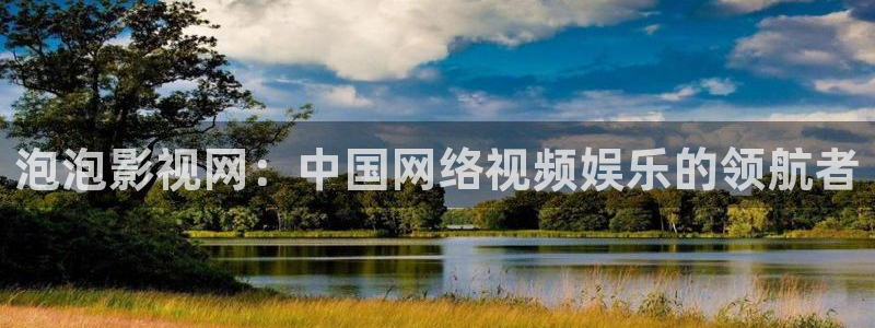 人人看影视网：泡泡影视网：中国网络视频娱乐的领航者
