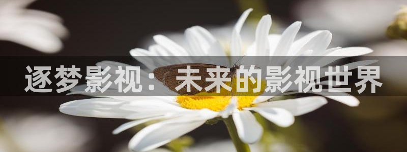 人人影院艳史：逐梦影视：未来的影视世界