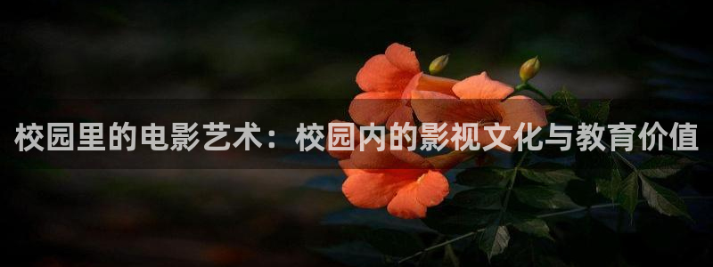 人人澡人人爽精品毛片一区二区：校园里的电影艺术：校园内的影视文化与教育价值