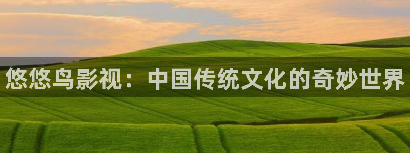 人人草在线视频免费在线播放：悠悠鸟影视：中国传统文化的奇妙世界