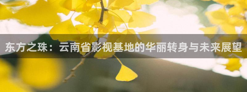 97超碰在线人人乐：东方之珠：云南省影视基地的华丽转身与未来展望