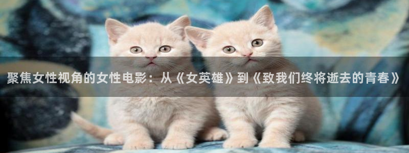 人人看大片：聚焦女性视角的女性电影：从《女英雄》到《致我们终将逝去的青春》