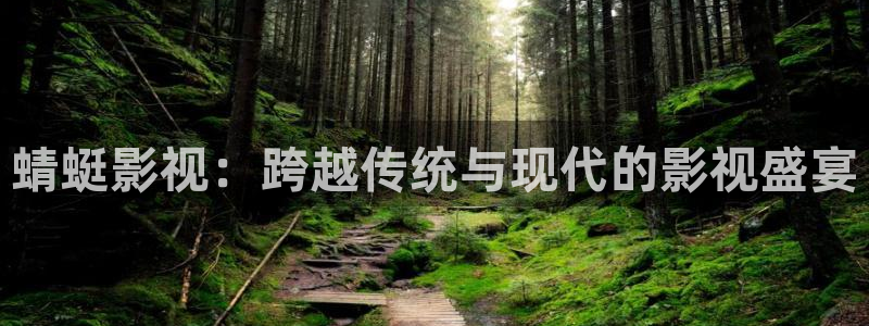人人tv视频在线观看：蜻蜓影视：跨越传统与现代的影视盛宴