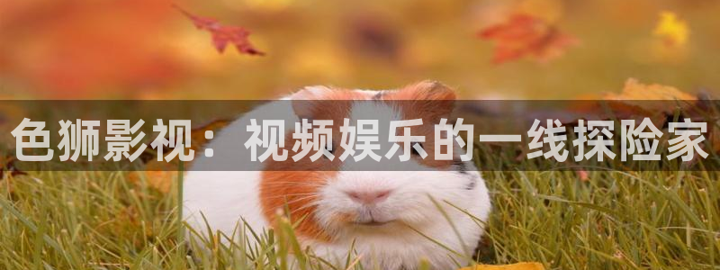国产成人av人人爽人人澡：色狮影视：视频娱乐的一线探险家