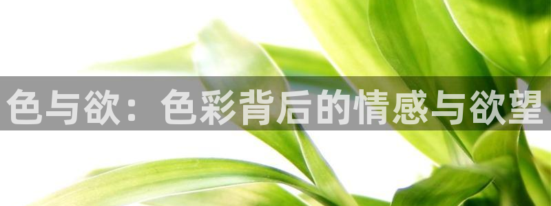 人人,影院：色与欲：色彩背后的情感与欲望