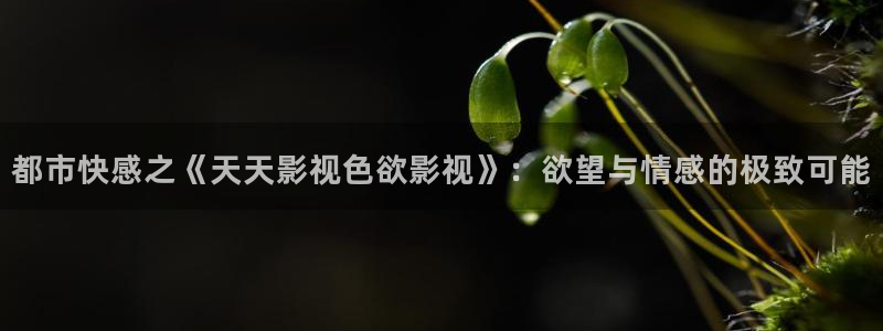 理论片人人影院：都市快感之《天天影视色欲影视》：欲望与情感的极致可能